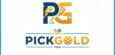 PICKGOLD PICKLEBALL SIÊU TỐC